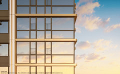 更是“稀缺中的”