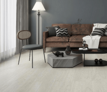 具有246+项国度专利