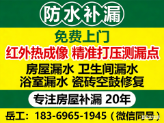 术导向型权势巨子机构